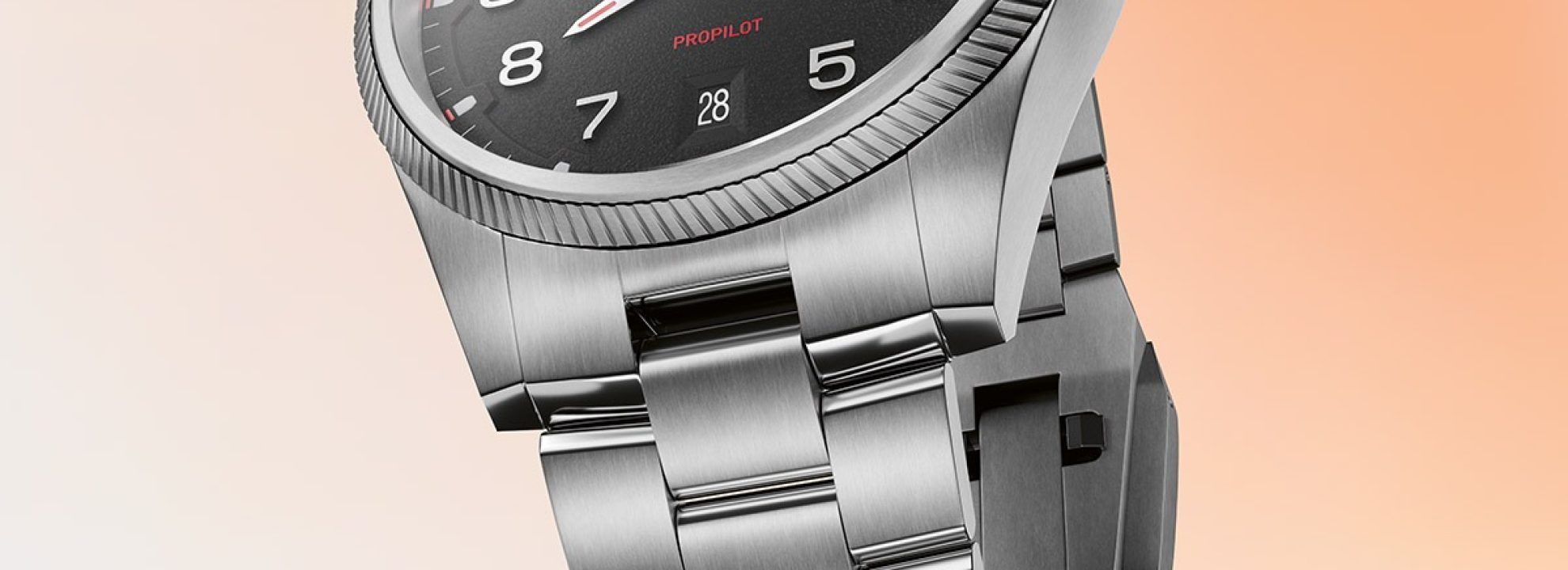 _0006_01 733 7805 4164-07 8 20 04LC - ProPilot Date - cus 03