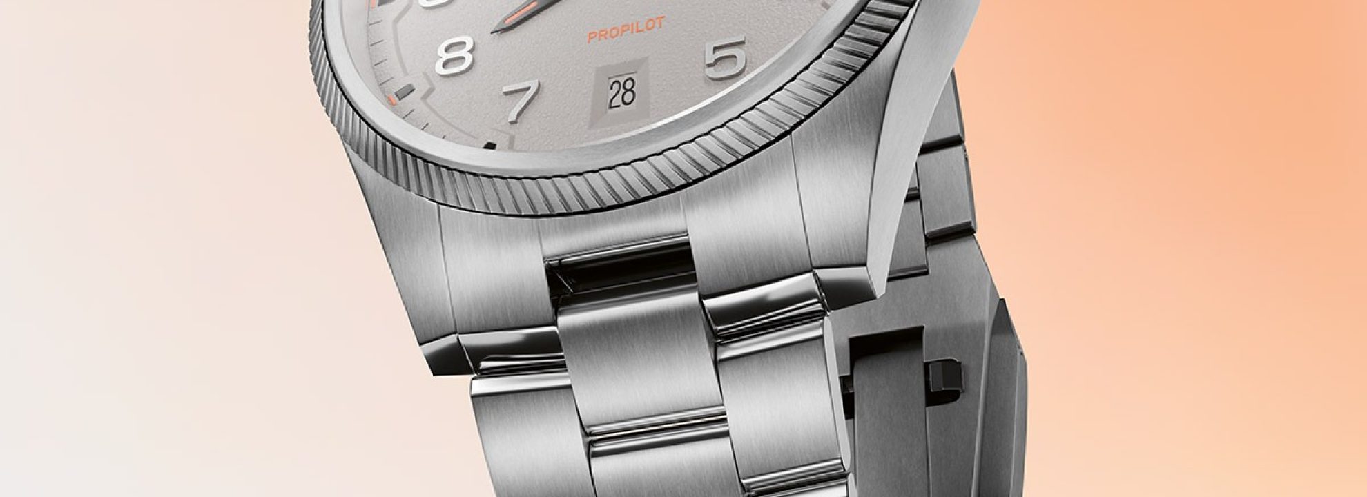 _0012_01 733 7805 4163-07 8 20 04LC - ProPilot Date - cus 03